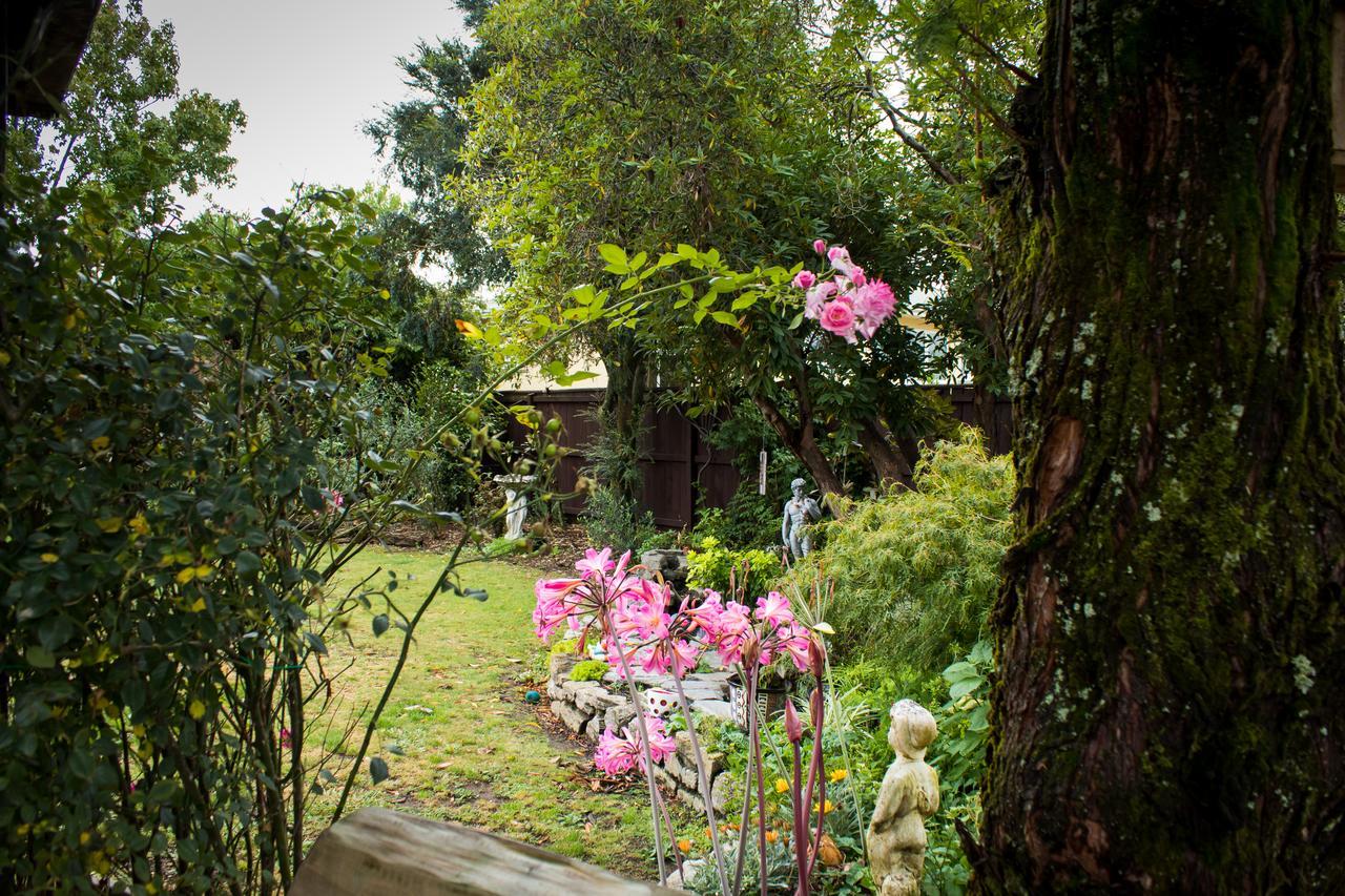 Holland House Bed & Breakfast Nelson Buitenkant foto